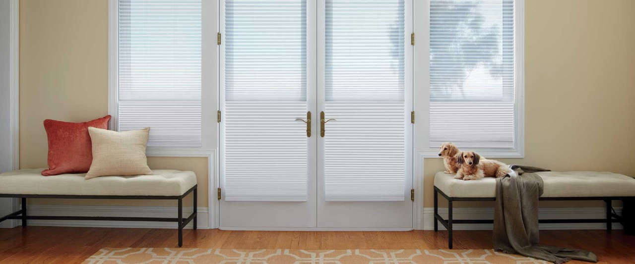 Two dogs next to French doors with Duette shades.